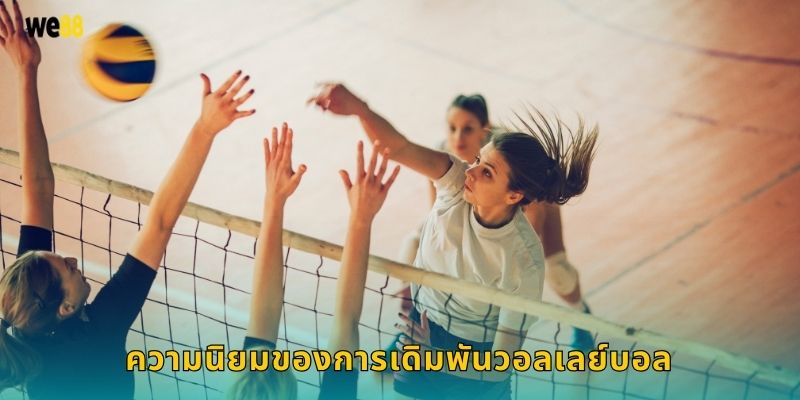 ความนิยมของการเดิมพันวอลเลย์บอล
